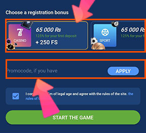 Choose bonus or promocode